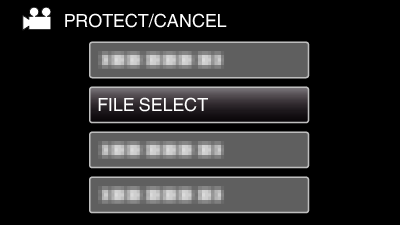 PROTECT FILE SELECT-2